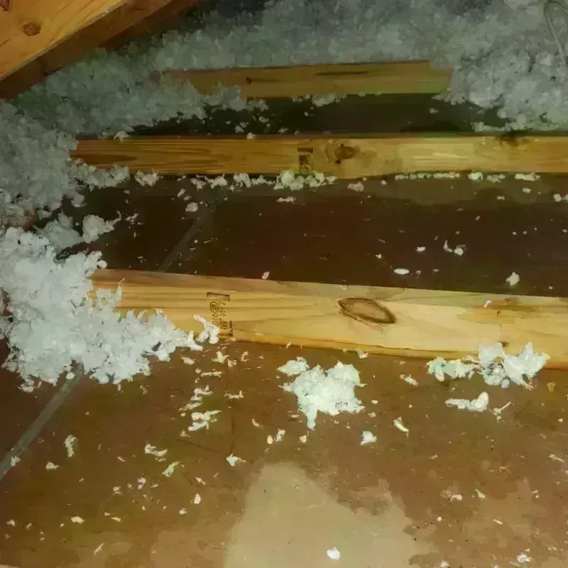 Attic Water Damage in Lake Park, NC