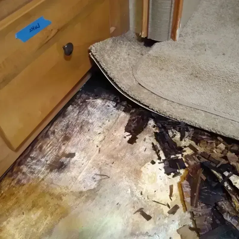 Wood Floor Water Damage in Lake Park, NC